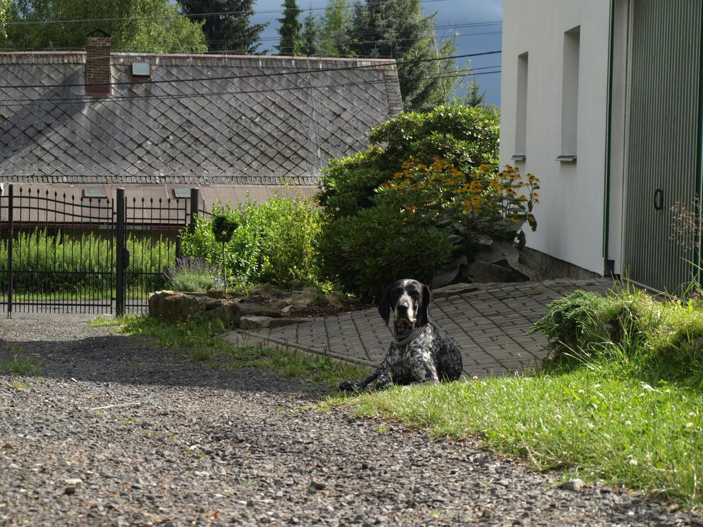 Guest House Luft Sneznik Eksteriør billede
